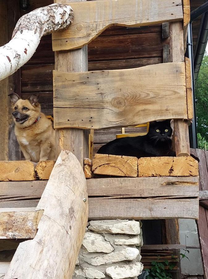 Agroturystyka LipoweWzgórze domek Antek Tereszpol Exterior foto