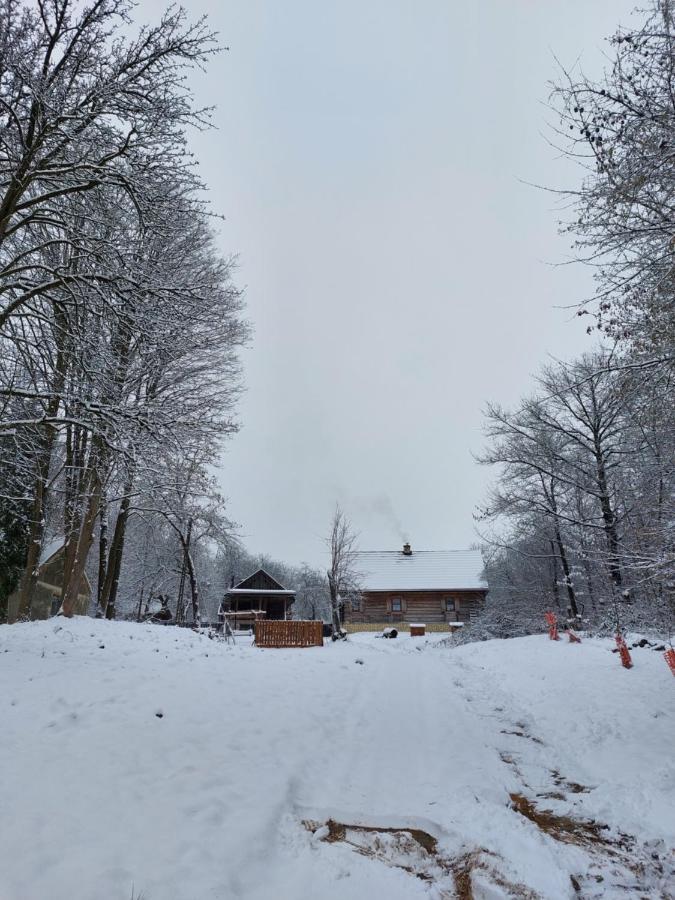 Agroturystyka LipoweWzgórze domek Antek Tereszpol Exterior foto